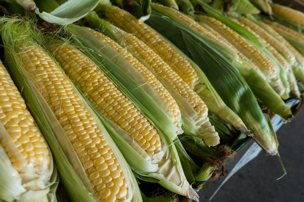 Freeze-Dried Corn: The Crunchy Ingredient Brands Love