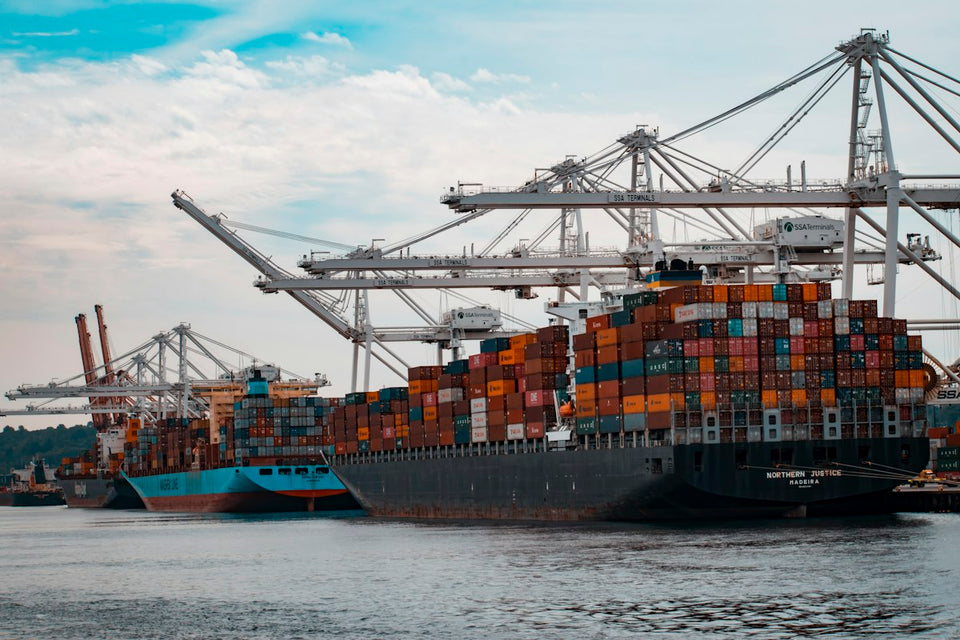 Building Long-Term Partnerships in Global Food Trade