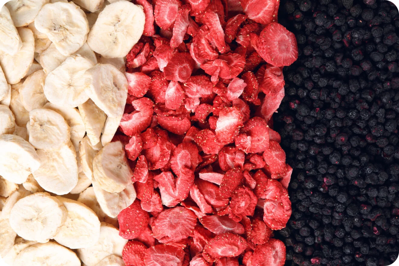 Freeze-Dried Fruits
