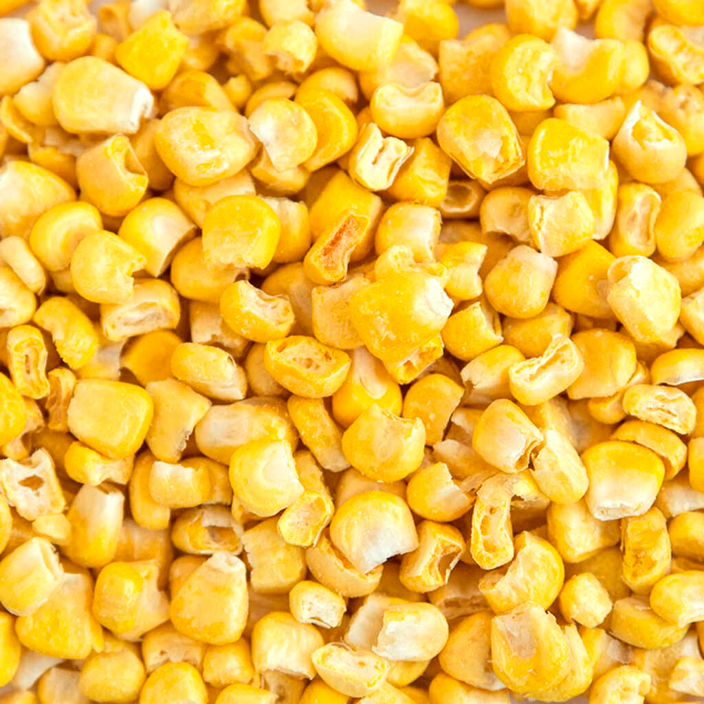 Freeze Dried Corn